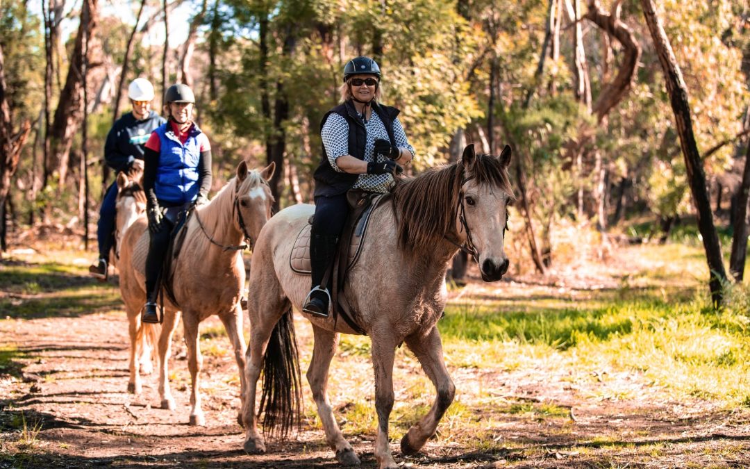 Spring Creek Horse Rides